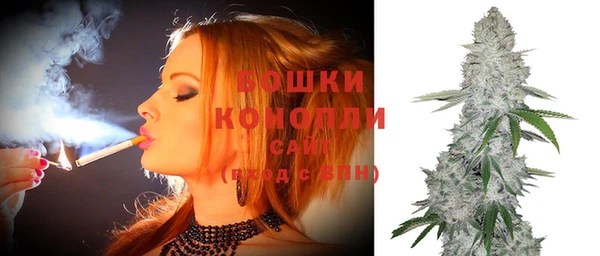 скорость Каменка