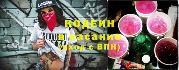 скорость Каменка